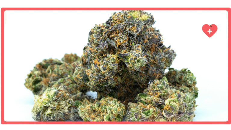 Best Cannabis Strains for Fibromyalgia Pain Relief