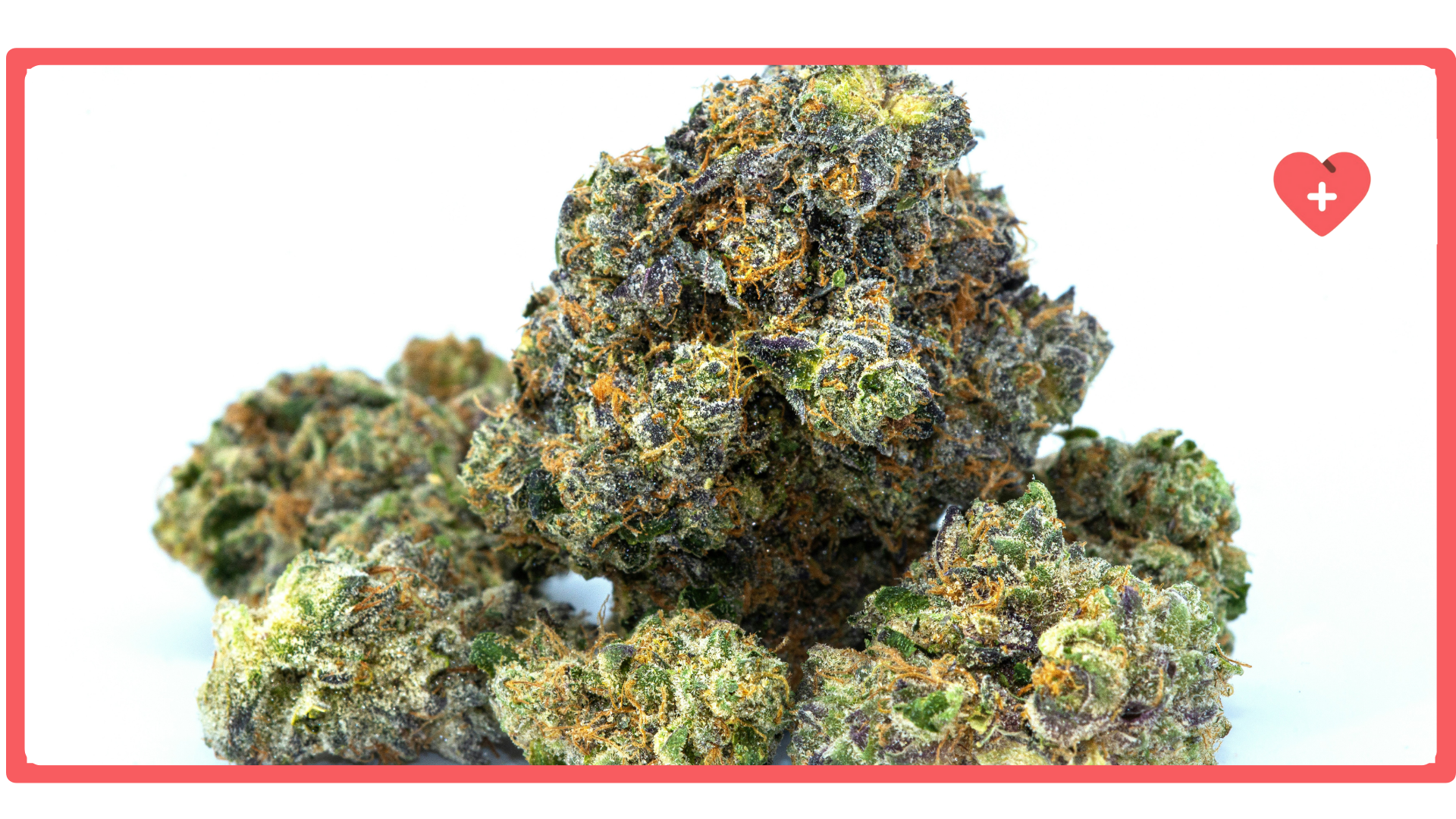 Best Cannabis Strains for Fibromyalgia Pain Relief