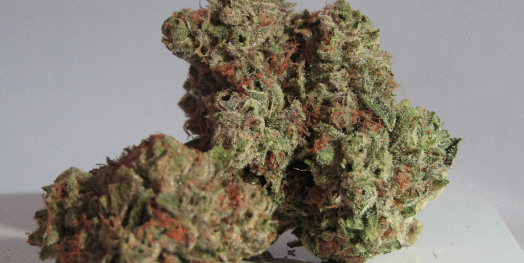 Best Flowerhouse Cannabis Strains Reviews