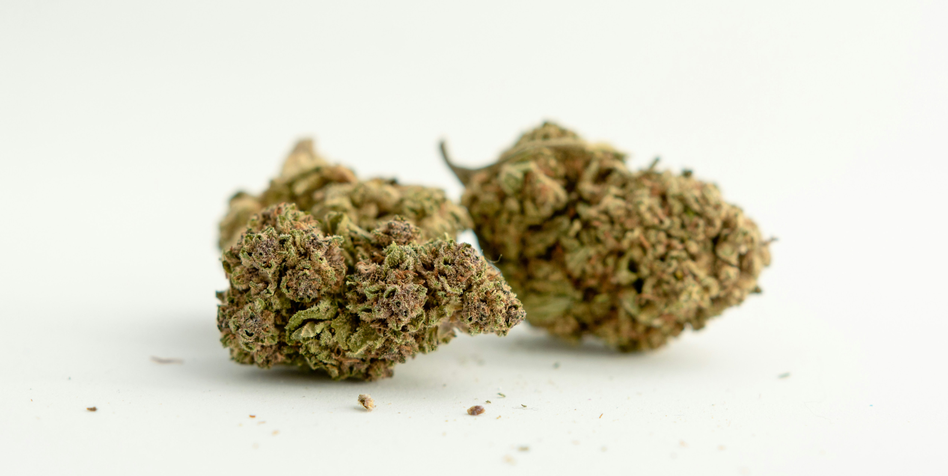 Best OG Cannabis Strains for Classic Vibes
