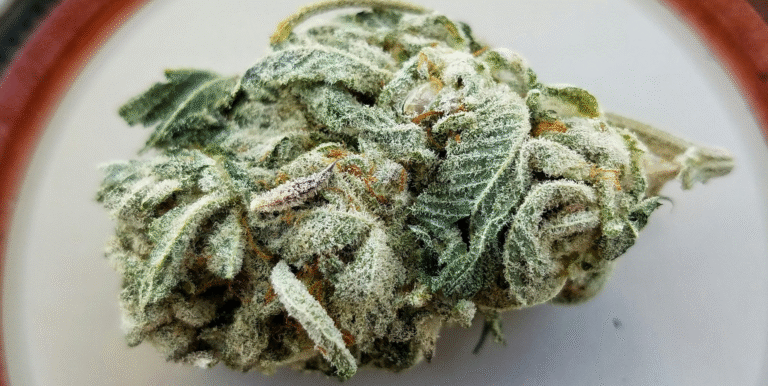 Best Runtz Cannabis Strains