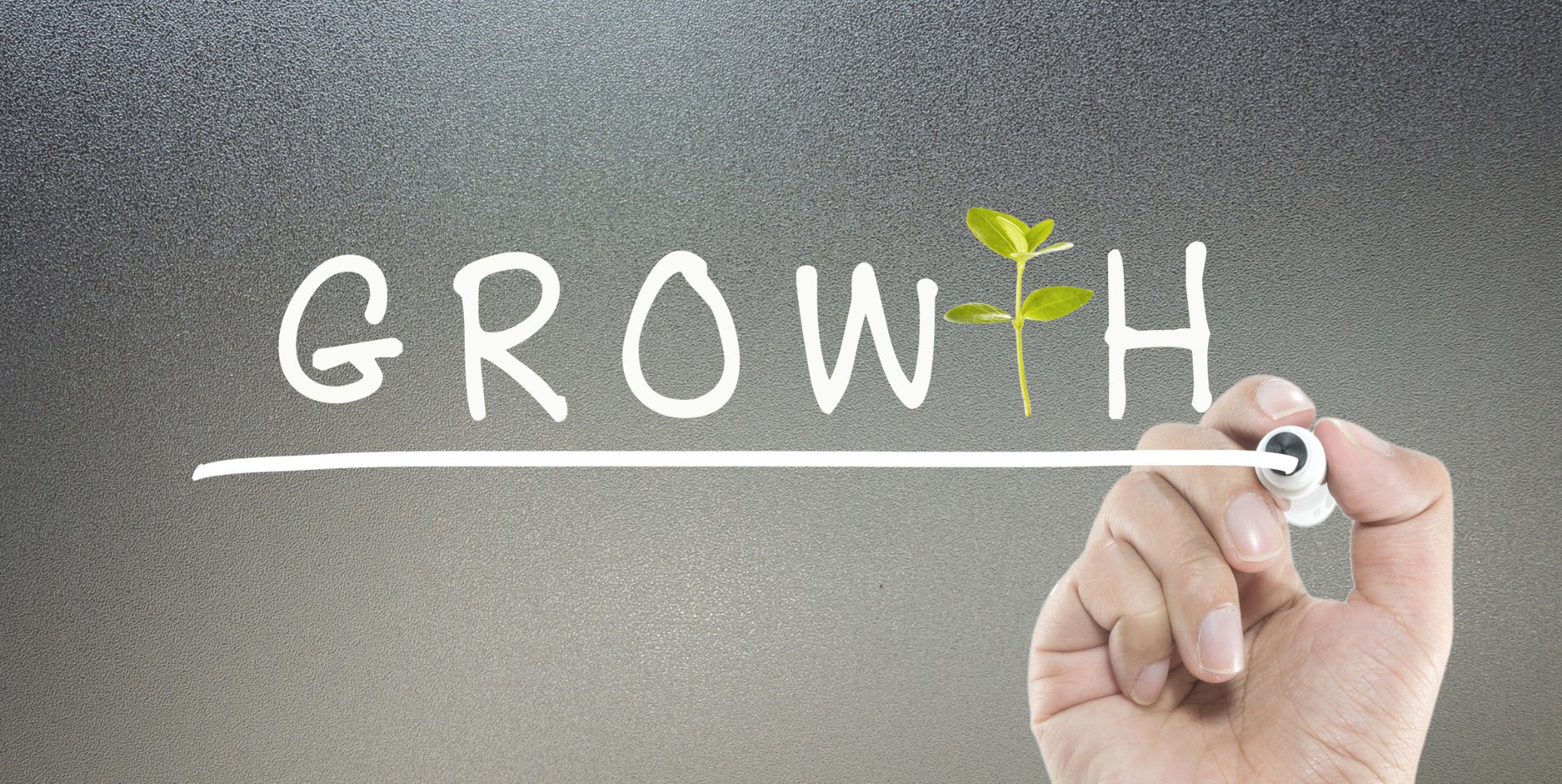 Top 10 Tallest Cannabis Strains for Growth