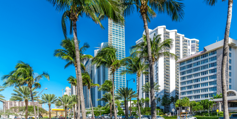 Cannabis in Florida