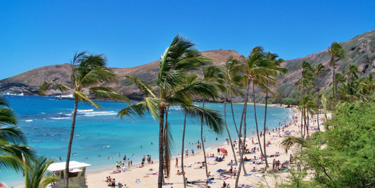 Cannabis in Hawaii: Medical Marijuana Program