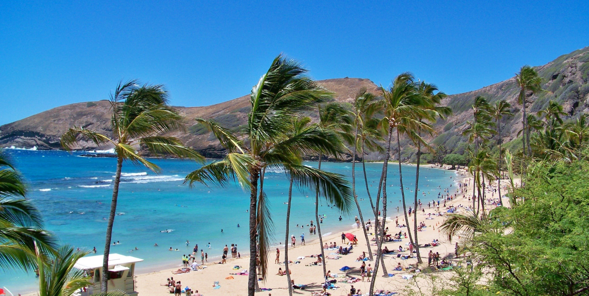 Cannabis in Hawaii: Medical Marijuana Program