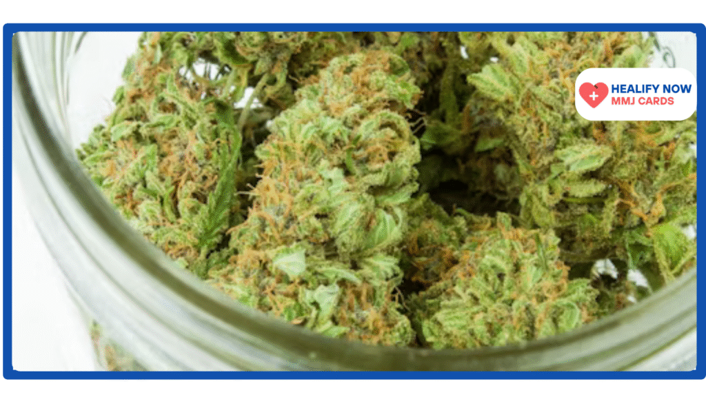 Cannabis in Rhode Island