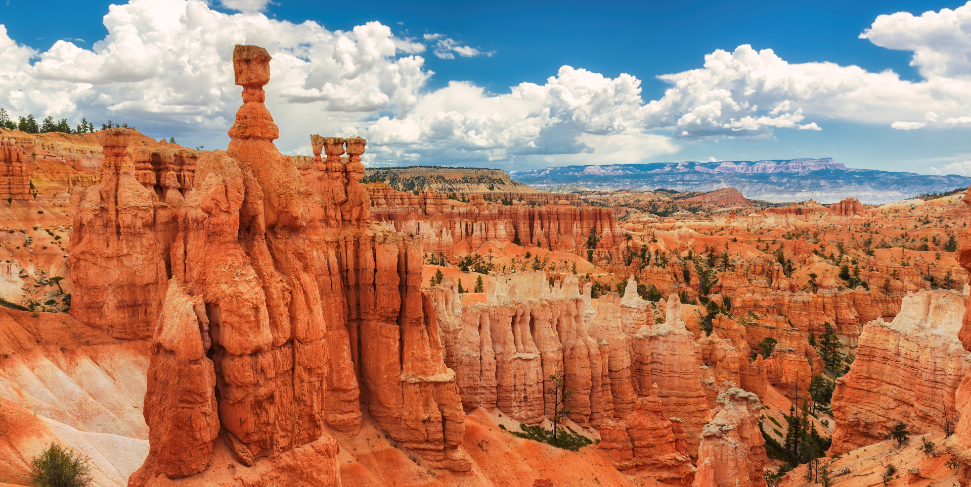 Cannabis in Utah